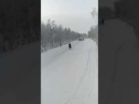 ВИДЕОФАКТ. В Хангаласском районе жеребят ведут на подкормку