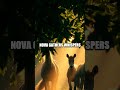 The Moonlit Library Of Nova The Nyala