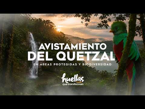 Avistamiento del Quetzal en Áreas Protegidas – Huellas que Transforman