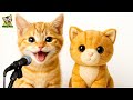 Cute Cat Singing The Song Am I A Doll Makes You Adorable