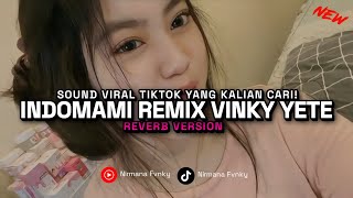 Download lagu INDOMAMI REMIX BY VINKY YETE VIRAL TIKTOK TERBARU 2025!! (Reverb Version) mp3