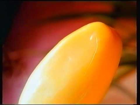 HB Ice Cream - Solero 1995 Ireland TV Advert