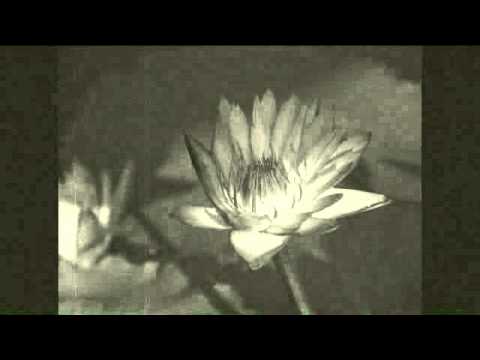 Sam Wooding - How I Am To Know (Woher soll ich das wissen?)