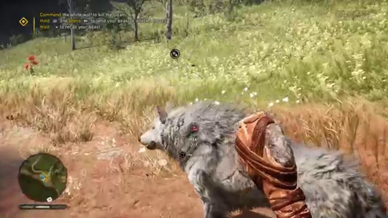 Far Cry Primal - Wolf Taming mission - YouTube