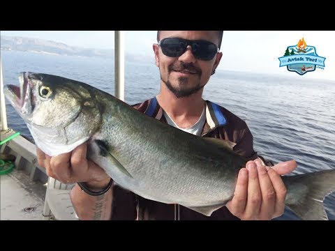 Dev Balıklar Burada!! İzmir Didim Arası Balık Avı Yolculuğu -  23 Mayıs 2018