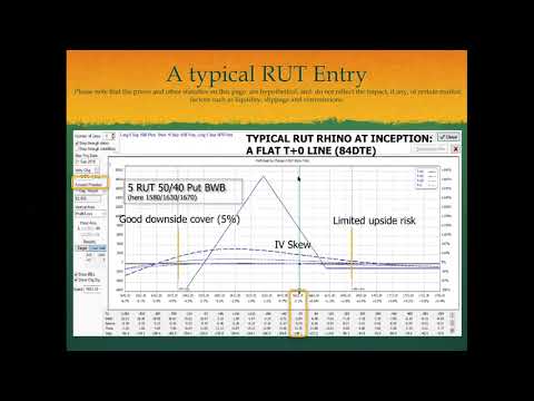 Round Table Bruno Voisin Rhino Trade Part 1 - August 1, 2018