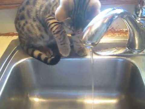 Simran Playing with Water