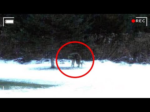 10 Unsolved Mysteries That Will Make You Question Reality