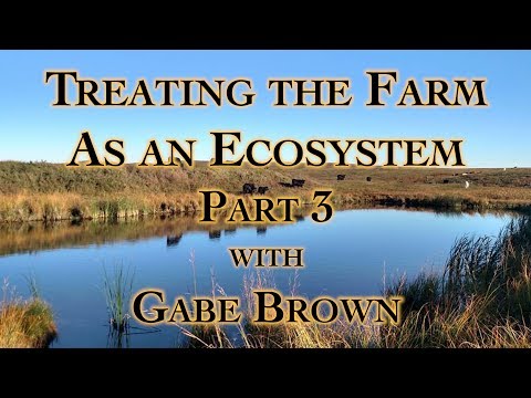 Treating the Farm as an Ecosystem Part 3 with Gabe Brown