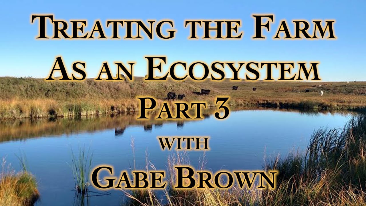 Treating the Farm as an Ecosystem Part 3 with Gabe Brown