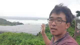 강한비바람을 동반한 8호태풍 바비 집앞 바닷가의 높은 파도와 바람이 무섭네요.