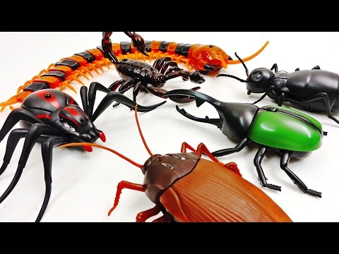 Super Creepy Toys Collection R/C Spider Cockroach Centipede Ant Hercules Beetle