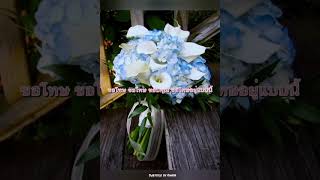 [THAI SUB] 花束 (Hanataba) : Back number