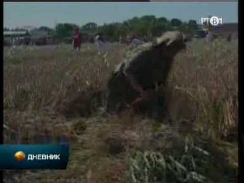 Svetkovina "Dužijanca" povodom završetka žetve