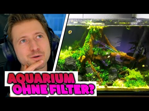izzi reagiert auf FILTERLOSES AQUASCAPE