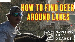 How To Find Deer On Public Land Around Lakes