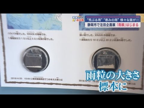 YouTube Video 静岡市で「暮らし」や「防災」など様々な視点から雨について学ぶ企画展が開催