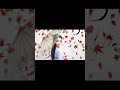 Urdu Shiri