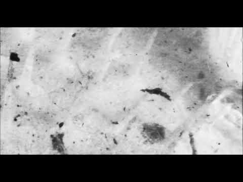 MY DISCO Third Place (Official Music Video)