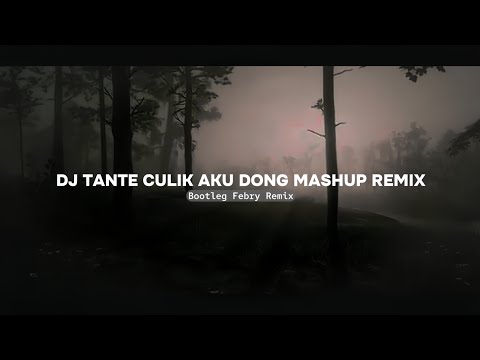 Dj Tante Culik Aku Dong Mashup Remix - New 2024 Bootleg Febry Remix || Tik tok Song