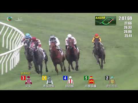 HKJC皇太后紀念盃 Queen Mother Memorial Cup 三級賽 G3 2400m 2022-05-01 多巴先生 SENOR TOBA 沙田馬場 Shatin Racecourse