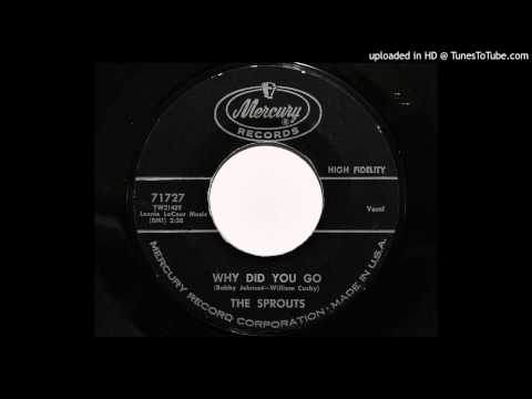 The Sprouts - Why Did You Go (Mercury 71727)