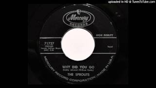 The Sprouts - Why Did You Go (Mercury 71727)