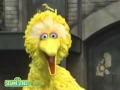 Sesame Street Elmo S Song