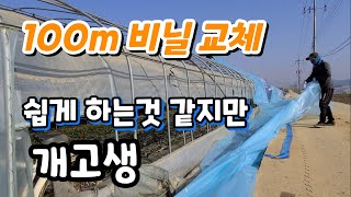 하우스 비닐 교체 쉬운것 같지만 개고생!