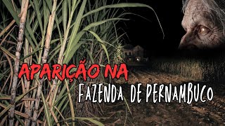 A Fazenda Assombrada De Pernambuco. 