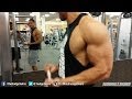 Back Biceps Workout Hodgetwins