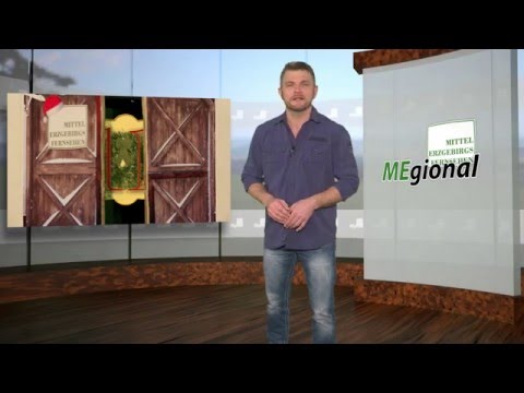 MEgional 2015 12 11 - Unsere Nachrichten für das Mittlere Erzgebirge