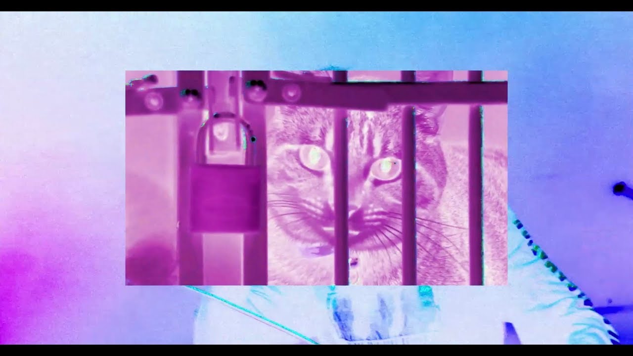 Alice Glass — Cease And Desist