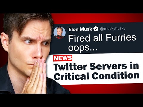 r/FurryIRL - Ah, Makes Sense...