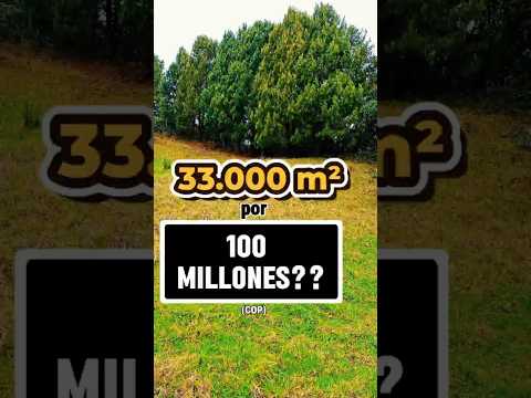 Un paraíso de 33.000 m² en Guasca Guatavita Un terreno rebosante de vida.