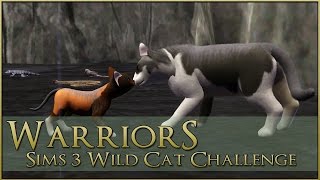 The Challenge of Kits 🌿 Warrior Cats Sims 3 Legacy - Episode #20