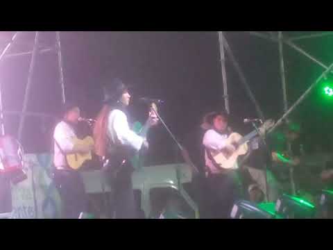 Sele vera en general roca rio negro 