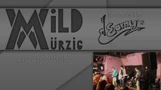 Mild Würzig - Just A Notion