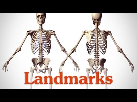 人体のランドマーク (Landmarks of the Human Body)