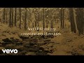 The Martins - Count Your Blessings (Instead of Sheep) (Lyric Video)
