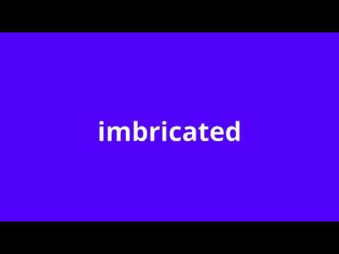 image-How do you use Imbricate in a sentence?
