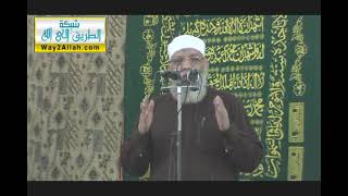 السماحة في الاسلام | الشيخ شوقي عبد الصادق image