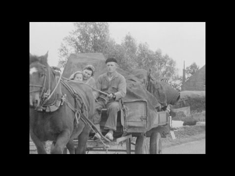 Ruilverkaveling Vuren -  Ad de Kock