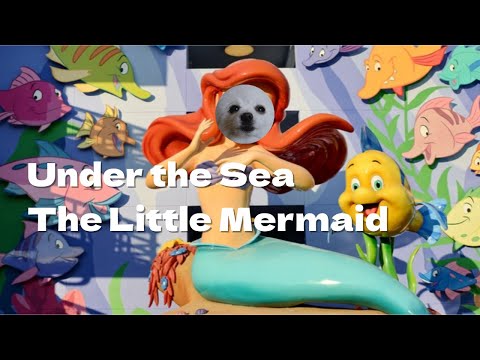 Under the Sea - The Little Mermaid(Dog Cover)