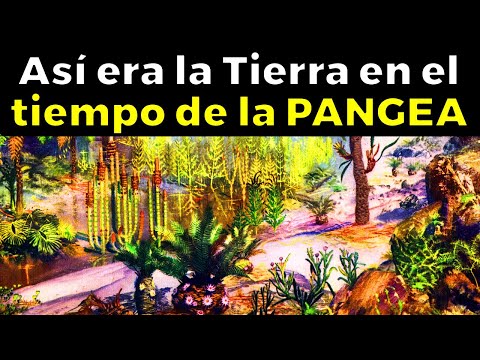 This is what the Earth was like in the era of Pangea