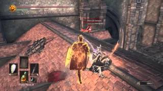 Dark Souls 3 how to punish invaders