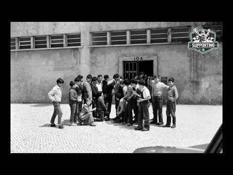 Supporting- Porta 10-A