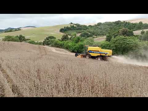 Mas um dia de colheita em Santa Maria do Oeste PR 