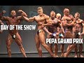 WESLEY VISSERS' SHOW DAY! - Grand Prix PEPA - Classic Bodybuilding