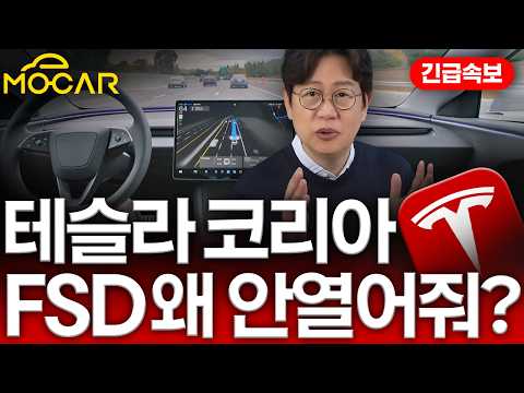 테슬라 FSD 한국도 뚫렸다! 국토부 경고! 테슬라는 이 FSD를 왜 안 열어주나?